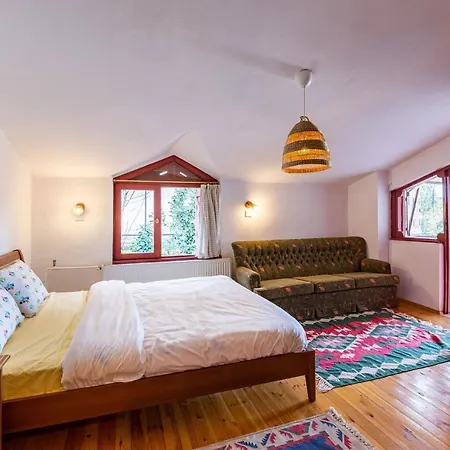 Appartamento Splendid Villa With Fireplace And Private Garden Close To Sapanca Lake Near Kartepe