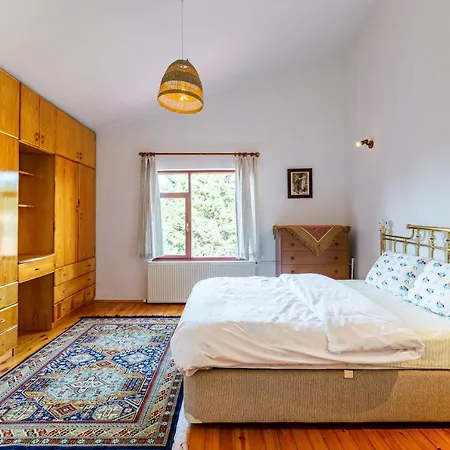 Splendid Villa With Fireplace And Private Garden Close To Sapanca Lake Near Kartepe